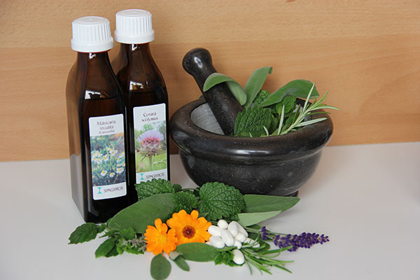 Kräuterheilkunde, Phytotherapie