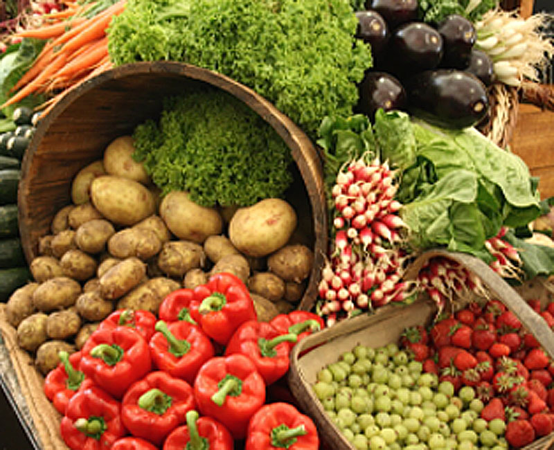 Makrobiom - Die Helfer in uns